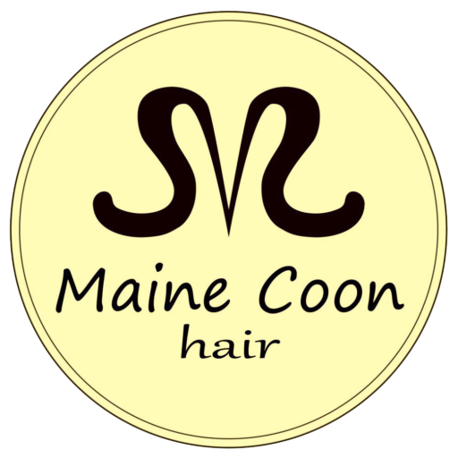 Maine Coon hair （メインクーン）- 三重県松阪市（美容室）